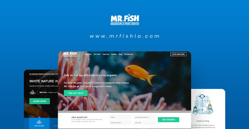 mr-fish Project image